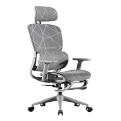V2 Ergonomic Chair