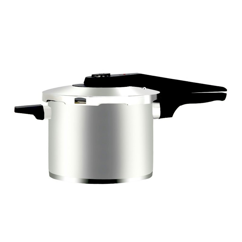 Starflower Stainless Steel Pressure Cooker 1