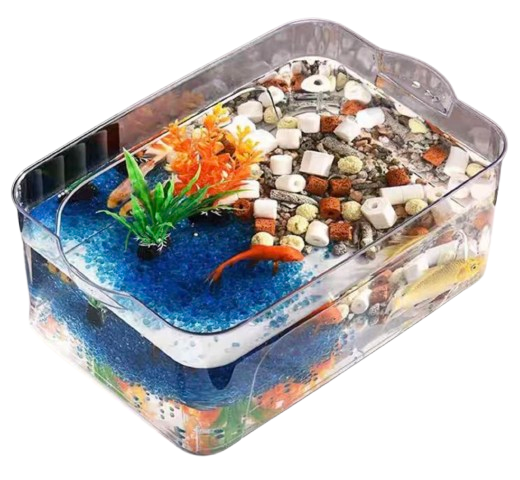 Transparent Fish Tank 1