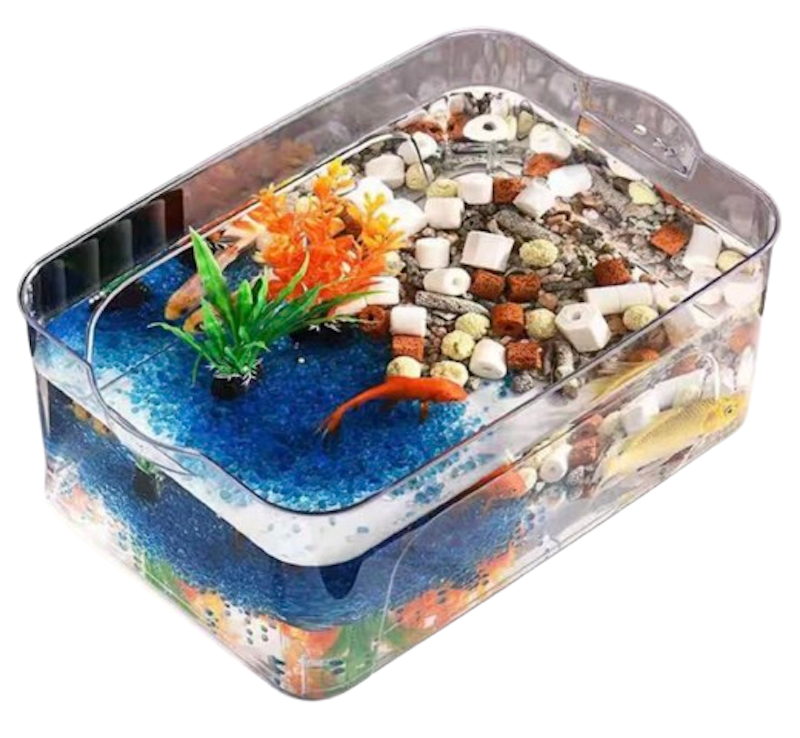 Transparent Fish Tank 1