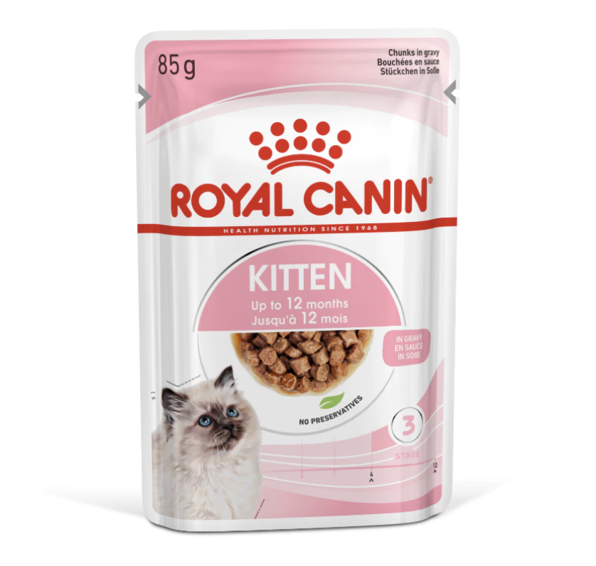 10 Best Wet Food for Kittens in the Philippines 2026 | Buying Guide Reviewed by Veterinarian 1