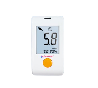 Blood Glucose Monitoring System 1