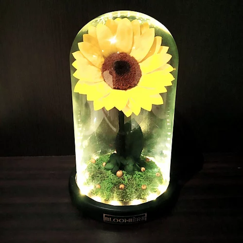 La Luz Del Sol 2