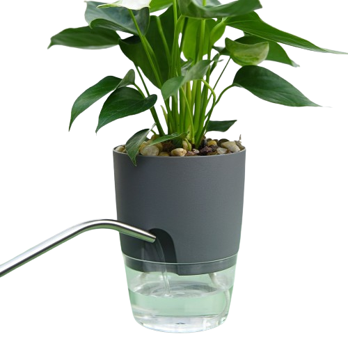 Self Watering Pot 2