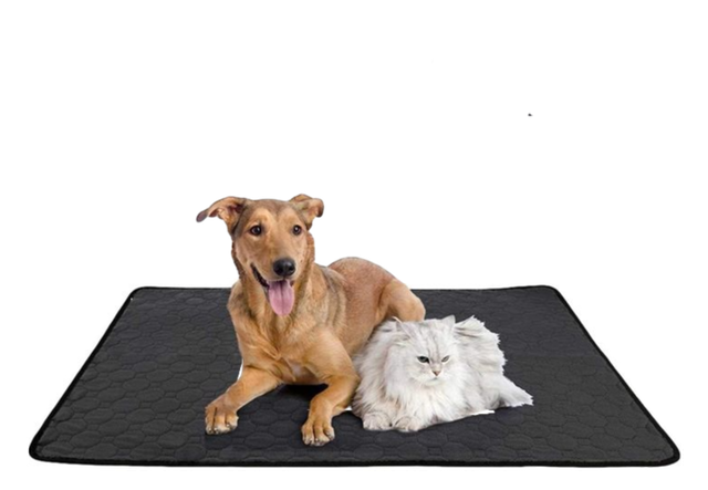 10 Best Dog Training Pads in the Philippines 2025 Buying Guide