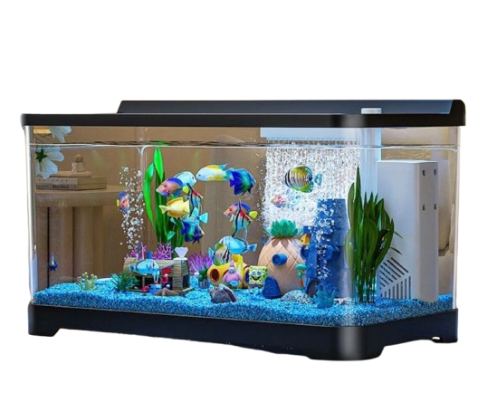 10 Best Small Aquariums in the Philippines 2026 4