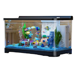 10 Best Small Aquariums in the Philippines 2026 4