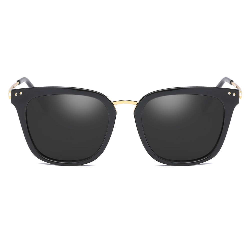 Polarized Sunglasses 1