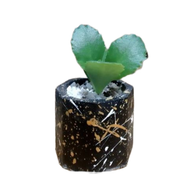 Mini Concrete Octagon Pot  1