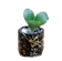 Mini Concrete Octagon Pot 1