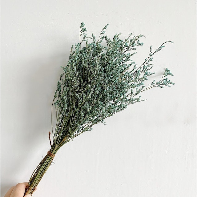 Lover Grass Bunch  2