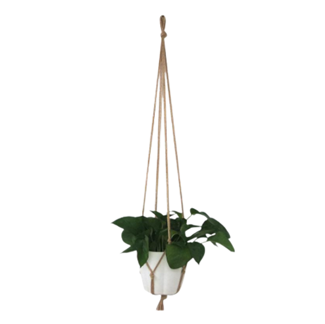 Macramé Plant Hanger 1