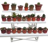 10 Best Plant Racks in the Philippines 2026 2