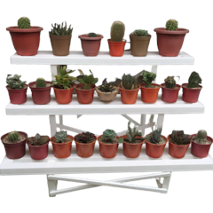 3-Tier Plastic Plant Rack