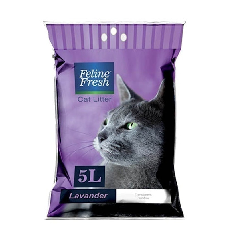 Hey Kitty - Super Premium Ball Shape Bentonite Best Cat Litter with  Lavender Fresh Scent | Quick & Strong Clumping | Ultra Odor Lock | Easy  Scooping 