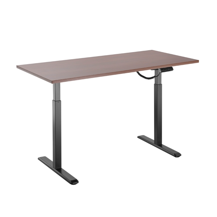 10 Best Electric Standing Desks in the Philippines 2026 | True Vision, Stance, and More 3