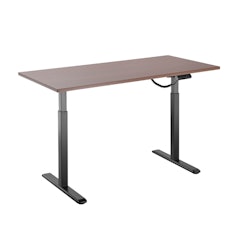 Electric Sit-Stand Desk