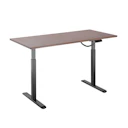 Electric Sit-Stand Desk