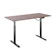 True Vision Electric Sit-Stand Desk 1