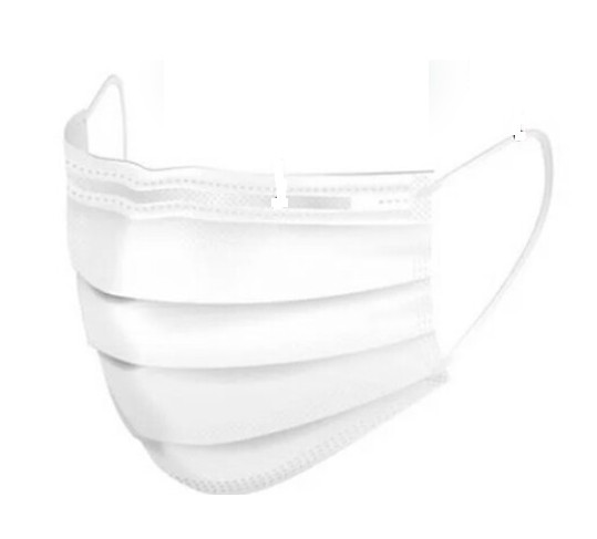 Pro-Lane Earloop Masks	  1