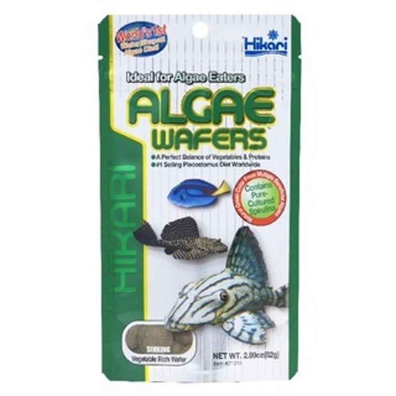 Algae Wafers 1