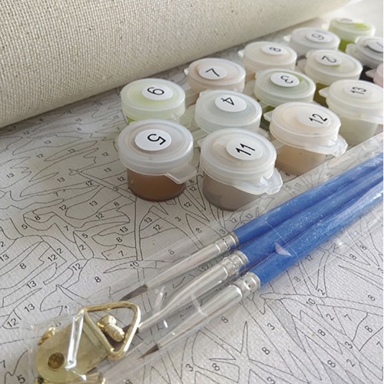 Paint By Numbers Kit 3