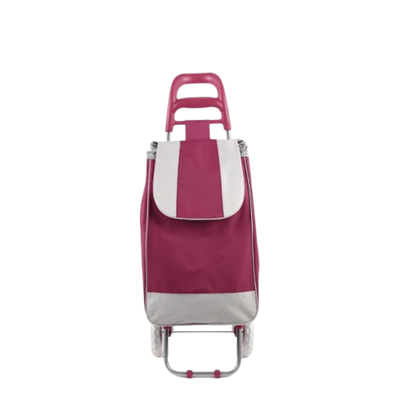 Portable 2-Wheel Shopping Trolley Bag 1