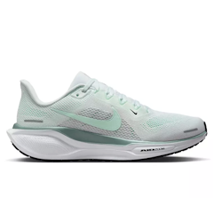 Pegasus 41