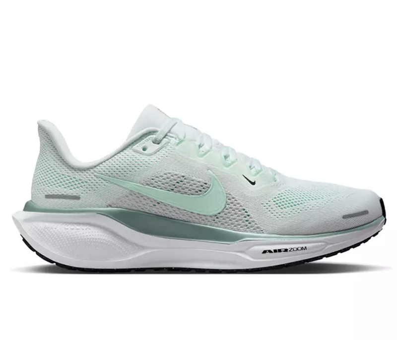 Pegasus 41 1