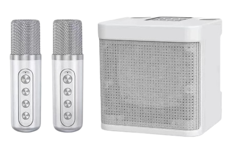 Wireless Karaoke Speaker 1