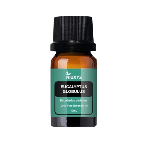 10 Best Eucalyptus Oils in the Philippines 2026 | ABCD Organics, Human Nature, and More 3