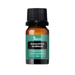 Eucalyptus Globulus 100% Pure Essential Oil