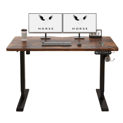 1.2M Electric Standing Desk 1