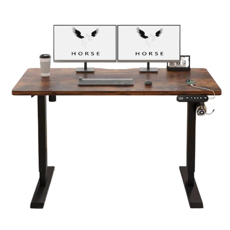 1.2M Electric Standing Desk 1