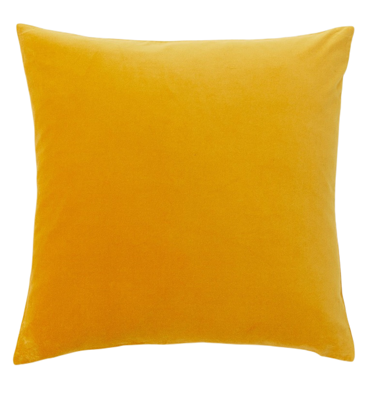 Velvet Cushion Cover 2