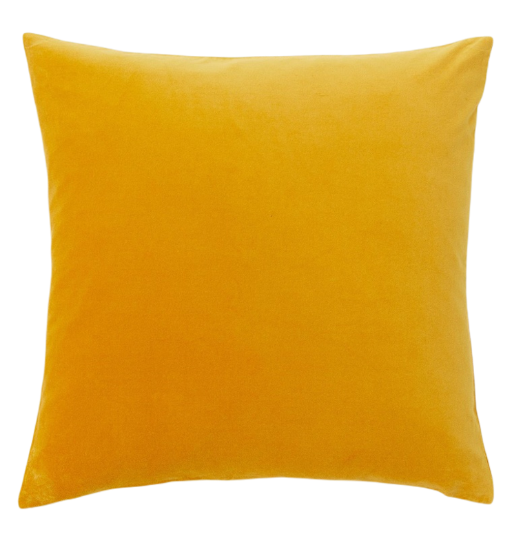 Velvet Cushion Cover 2