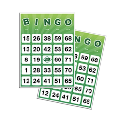 Bingo Cards