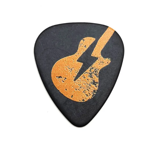 DelTex Guitar Pick 1