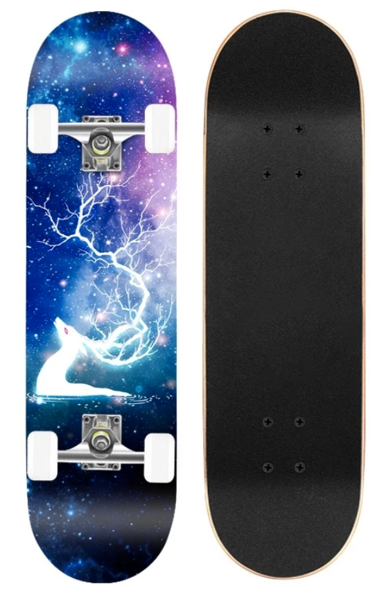 Skateboard 1
