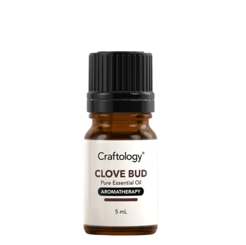 Clove Bud Essential Oil 1