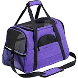 10 Best Pet Carriers in the Philippines 2026 | Buying Guide Reviewed by Veterinarian 2