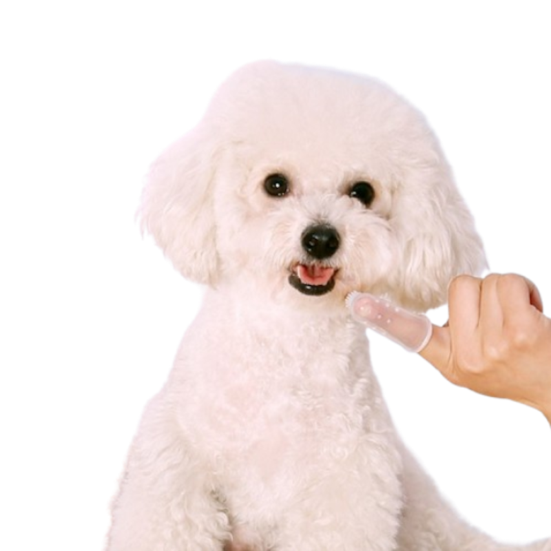 Transparent Finger Toothbrush 2