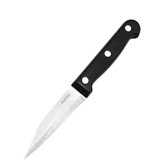 Stainless Steel Paring Knife