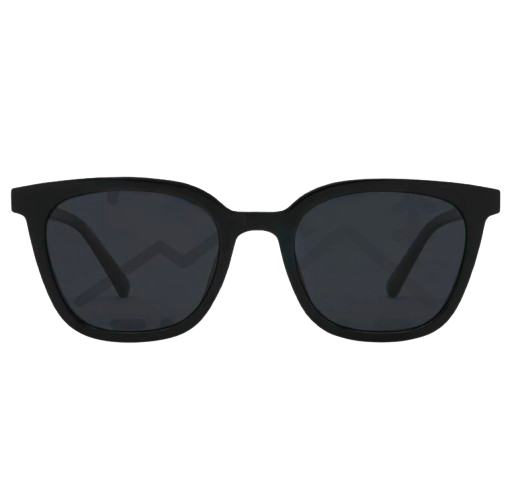 10 Best Sunglasses for Men in the Philippines 2026 | Sunnies Studios, Ray-Ban, and More 3