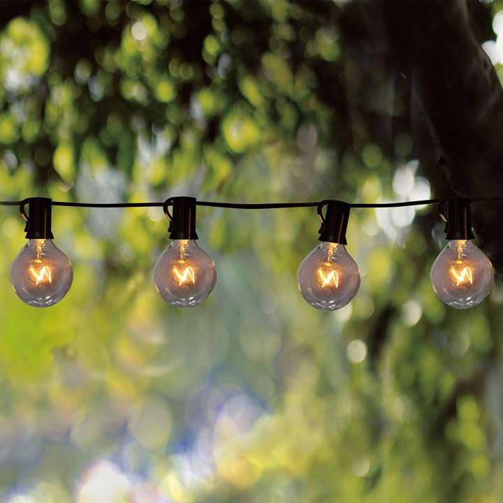 String Lights With Globe Clear Bulbs 2
