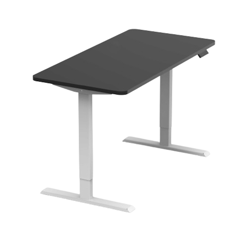 Executive Dual Motor Standing Desk 1