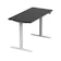 Stance Executive Dual Motor Standing Desk 1