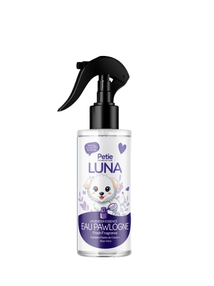 Pawlogne 1