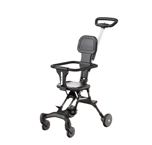 Baby Two-Way Stroller 1