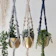 Macramé Plant Hanger 1